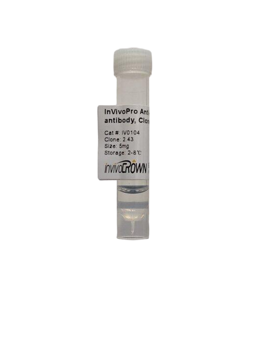 InVivoPro Anti-Mouse CD8α in vivo antibody, Clone 2.43
