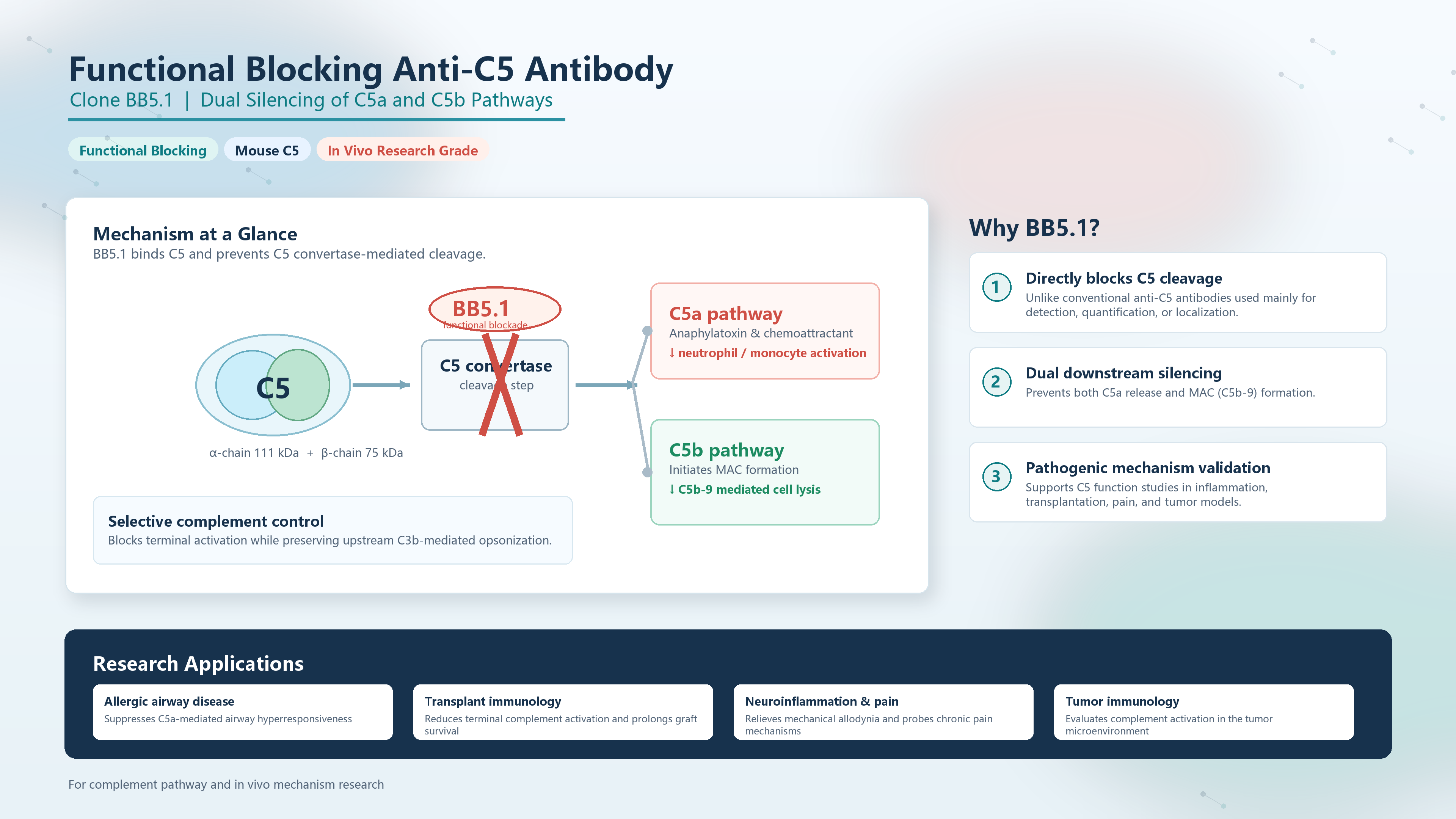 Functional Blocking Anti-C5 Antibody (Clone BB5.1): Dual Silencing of C5a and C5b Pathways ？