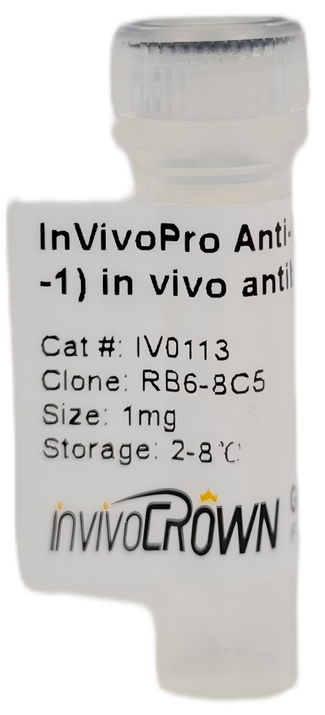 InVivoPro Anti-Mouse Ly6G/Ly6C (Gr-1) in vivo antibody, Clone RB6-8C5